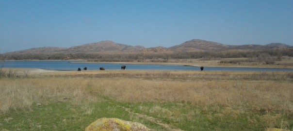 Wichitas Mar2013